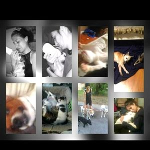 Meet your Posher, Ann